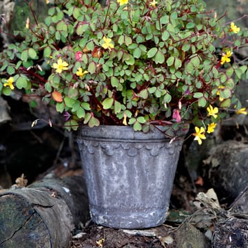 Vaso de flores Copenhagen Ø16 cm - Cinza - Bergs Potter