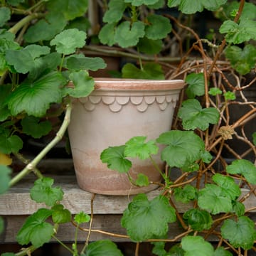 Vaso de flores Copenhagen Ø16 cm - Rosa  - Bergs Potter