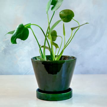Vaso de flores Julie brilhante Ø19 cm - Green emerald - Bergs Potter