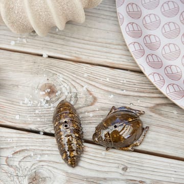 Saleiro & pimenteiro Beetles - brown - Byon