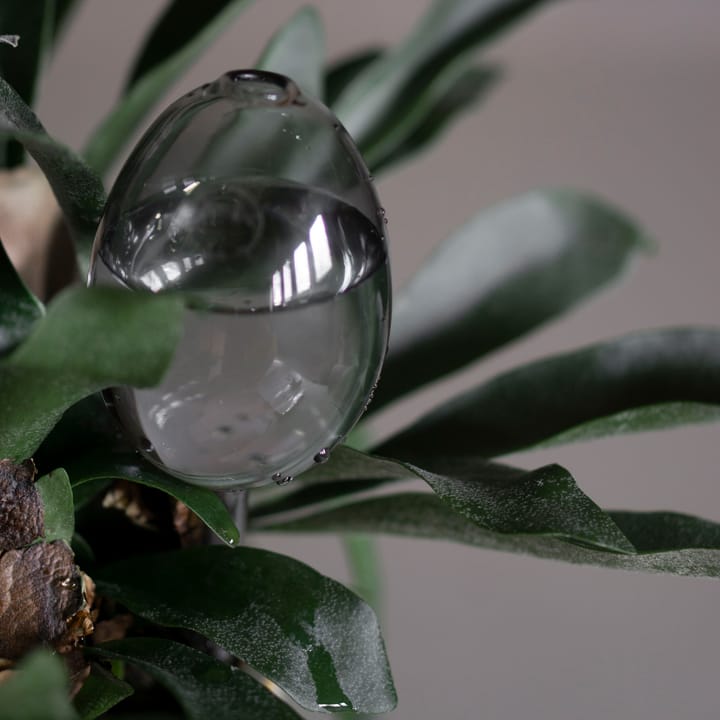 Dispositivo de auto-irrigação Waterbubble, transparente DBKD