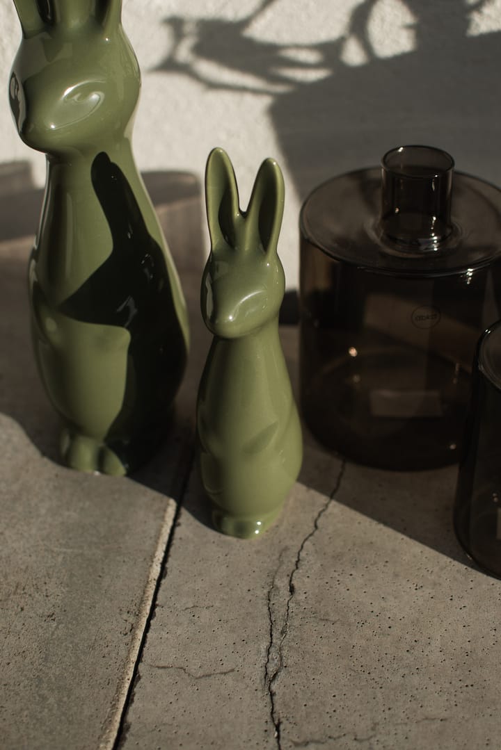 Swedish rabbit pequeno, Shiny green DBKD