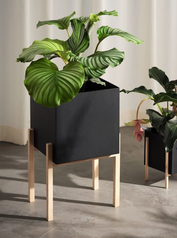 Suporte Botanic pedestal - Preto-freixo - Design House Stockholm