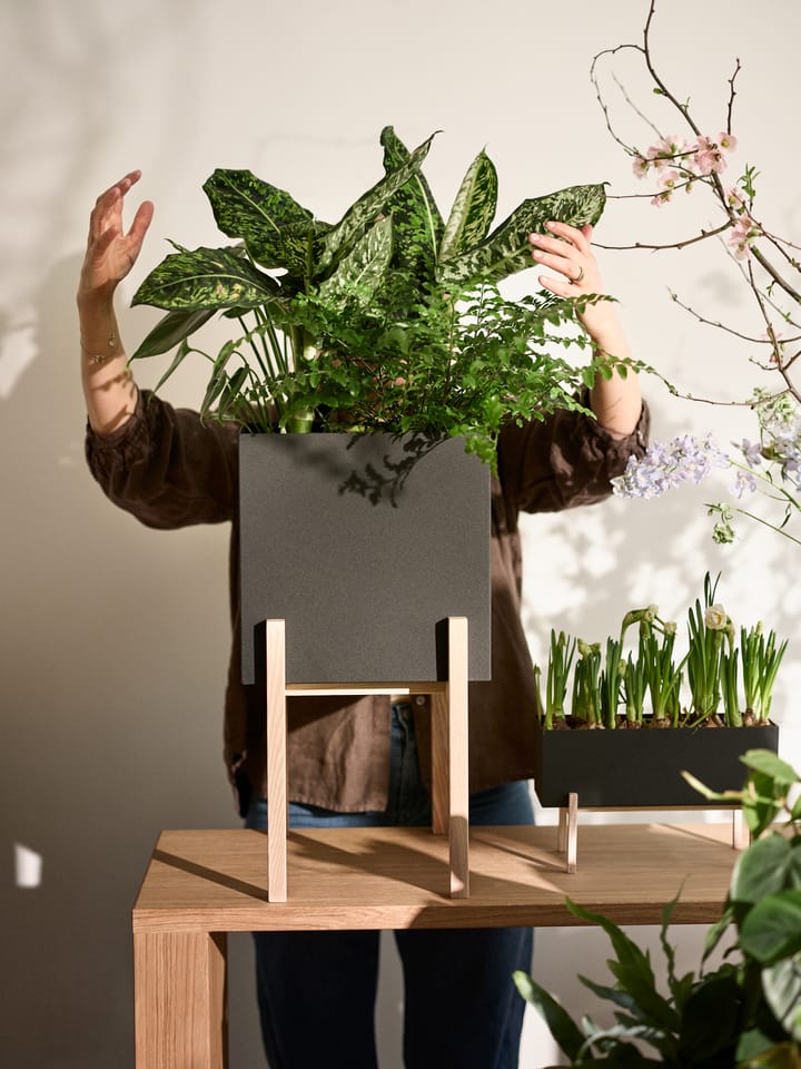 Suporte Botanic pedestal, Preto-freixo Design House Stockholm