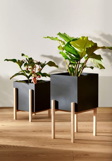 Suporte Botanic pedestal - Preto-freixo - Design House Stockholm