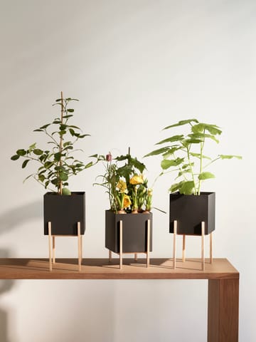 Suporte Botanic pedestal - Preto-freixo - Design House Stockholm