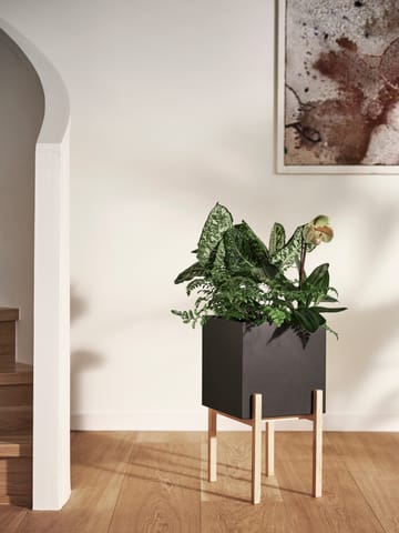 Suporte Botanic pedestal - Preto-freixo - Design House Stockholm