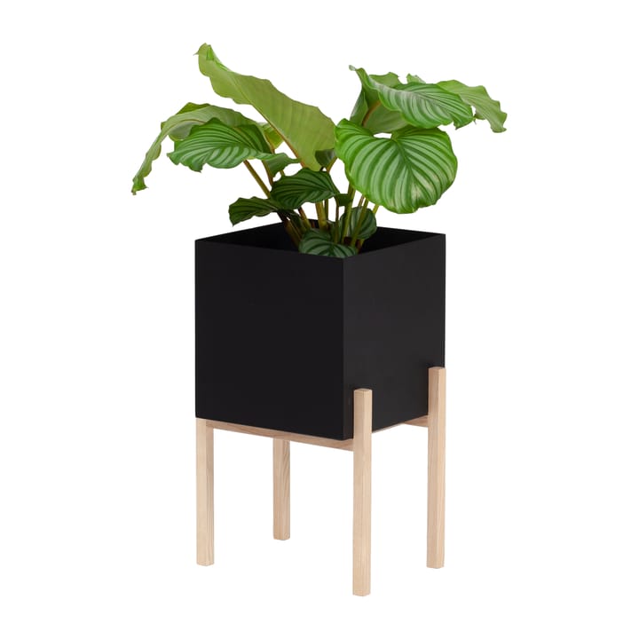 Suporte Botanic pedestal - Preto-freixo - Design House Stockholm