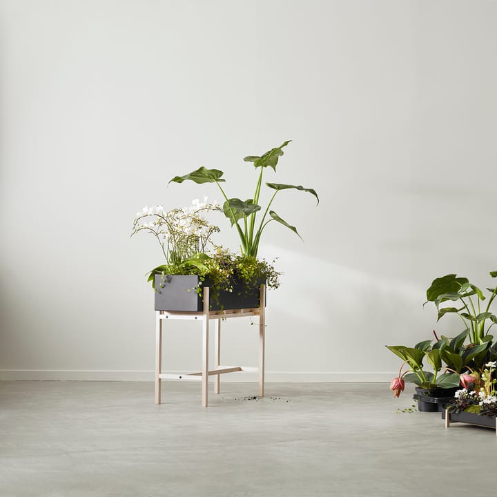 Suporte de flores Botanic - Freixo-preto - Design House Stockholm