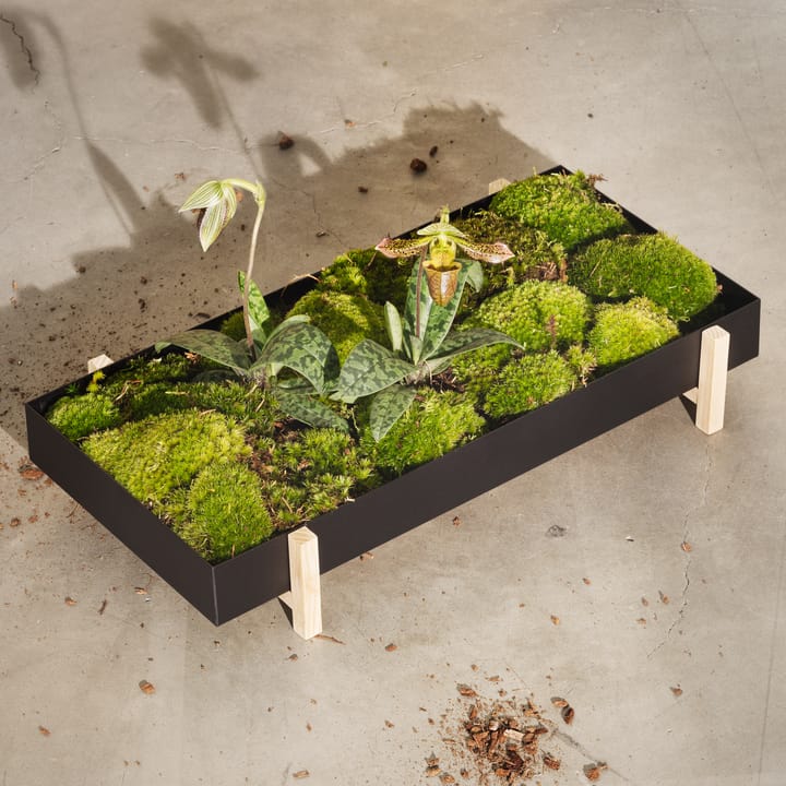 Vaso de flores Botanic Flower Tray - preto - Design House Stockholm