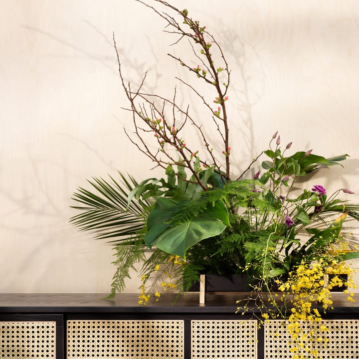 Vaso de flores Botanic Flower Tray - preto - Design House Stockholm