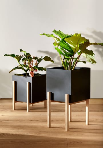 Vaso de flores Botanic pot - Preto-freixo - Design House Stockholm