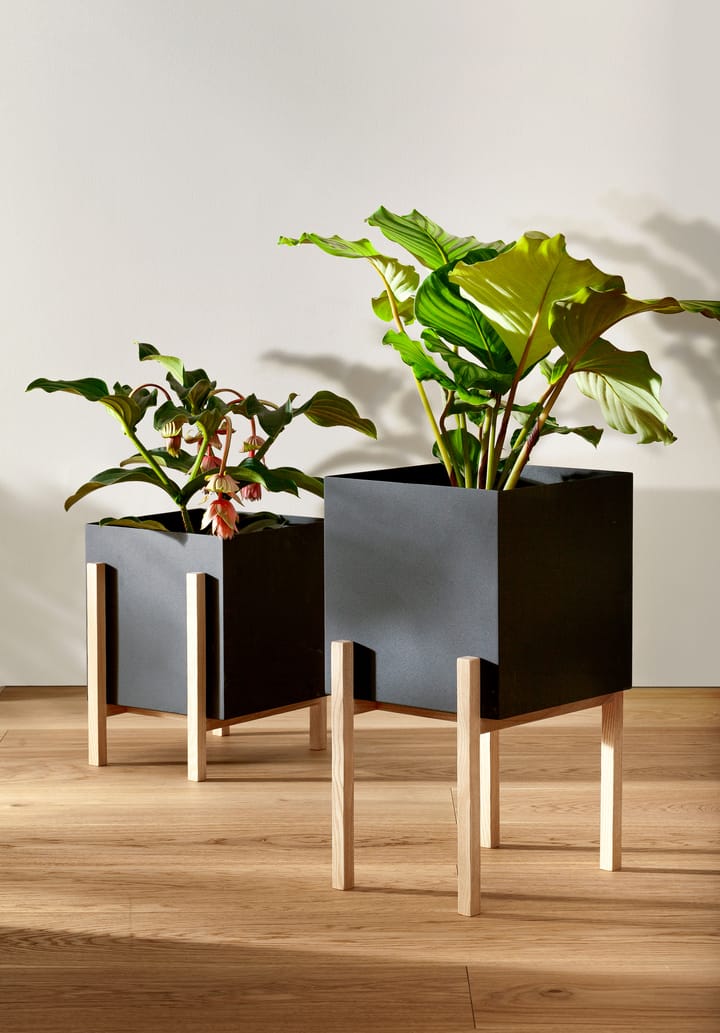 Vaso de flores Botanic pot, Preto-freixo Design House Stockholm