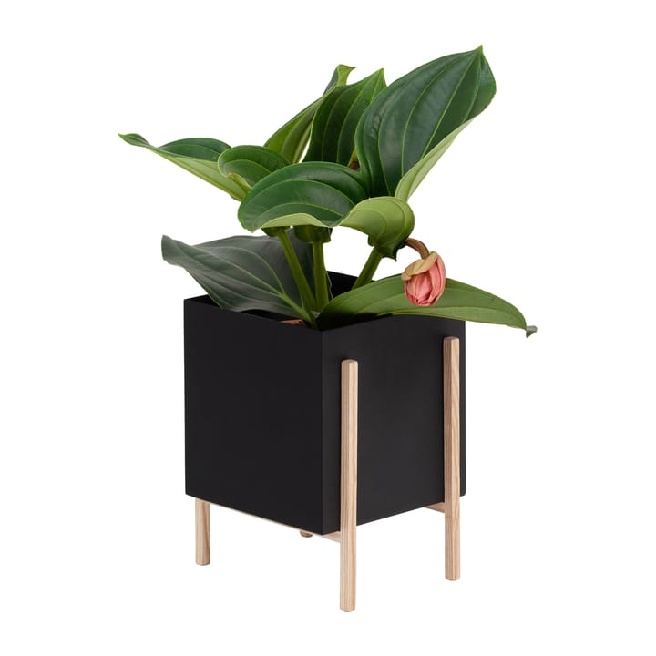 Vaso de flores Botanic pot, Preto-freixo Design House Stockholm