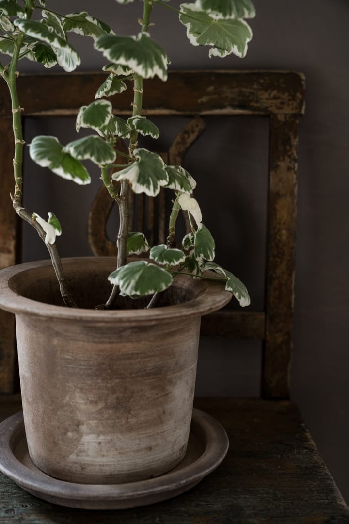 Vaso de flores Ernst com pires, terracota, Ø24 cm ERNST