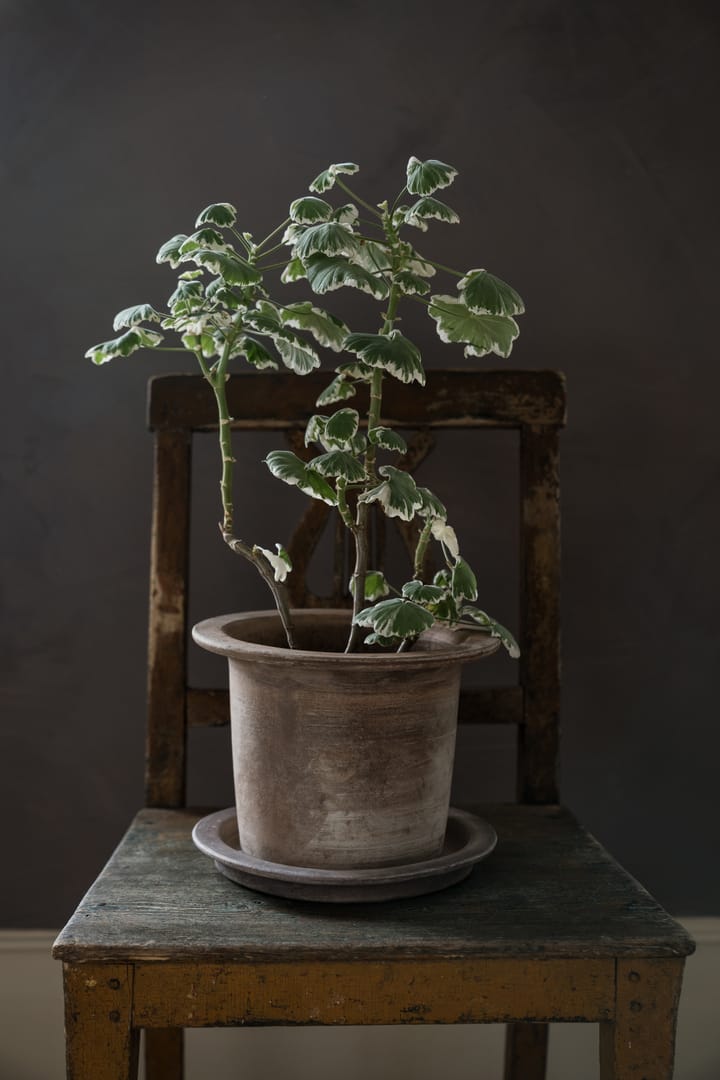 Vaso de flores Ernst com pires, terracota, Ø24 cm ERNST