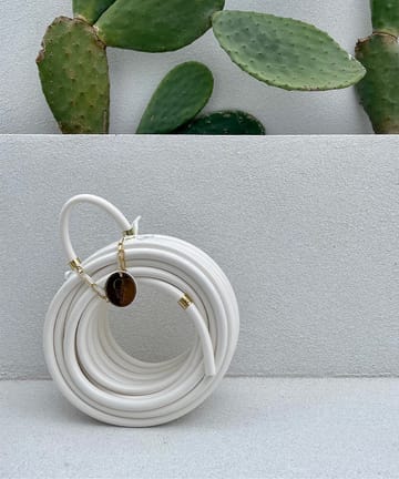 Mangueira Garden Glory - White snake - Garden Glory