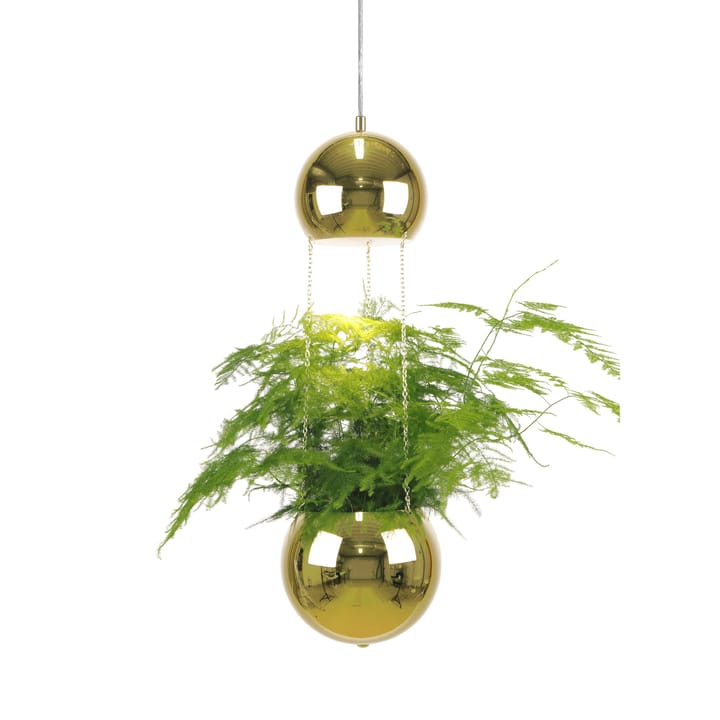 Candeeiro de teto com vaso de plantas Planter - latão - Globen Lighting