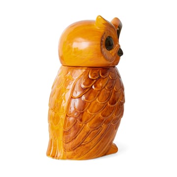 Pote de cerâmica Owl - Tangerine - HKliving