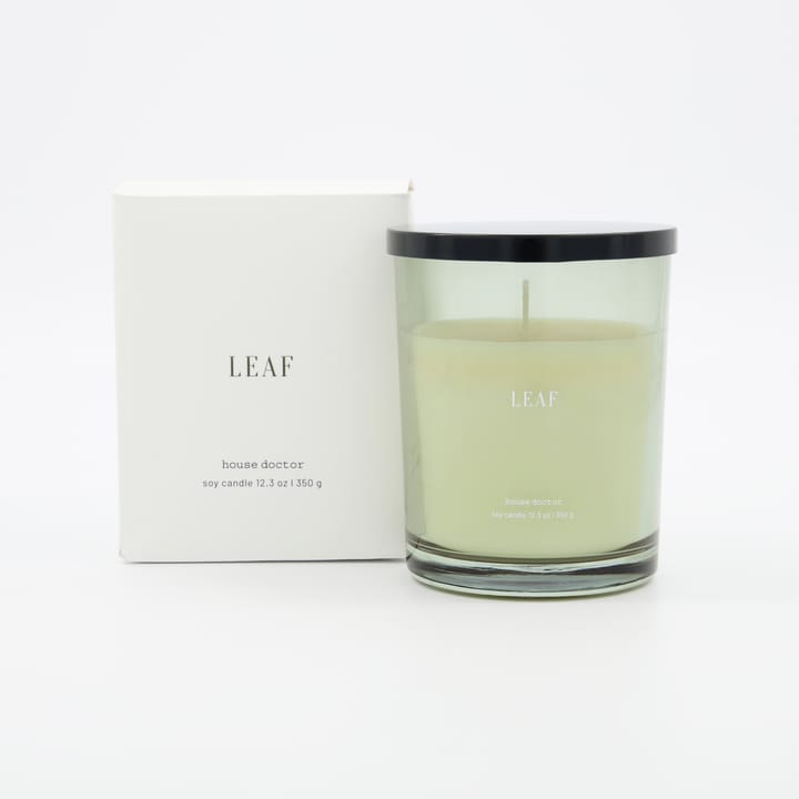 Vela perfumada Leaf 50 horas - verde - House Doctor