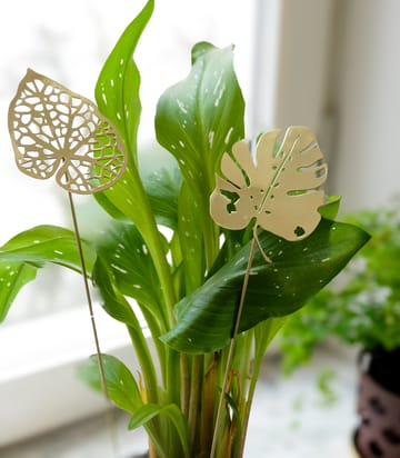 Decoração Brass Leaves, 2 peças - Water - KLONG