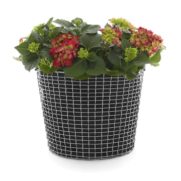 Vaso de plantas para o cesto Korbo, 3 un. - 50 l - KORBO