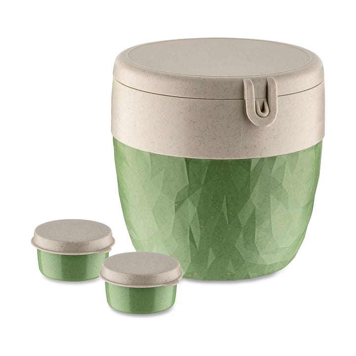 Lancheira Bentobox L - Folha verde da natureza - Koziol