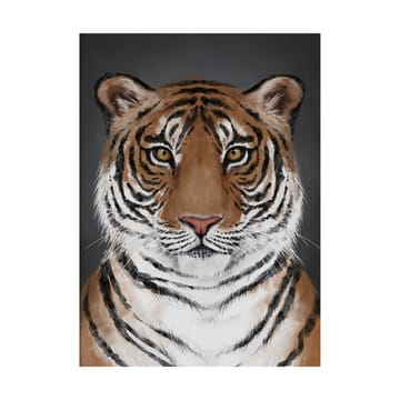 Póster Tiger - 50x70 cm - Kunskapstavlan®