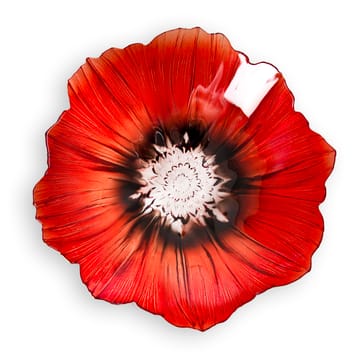 Tigela grande Poppy - vermelho-preto - Målerås Glasbruk