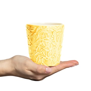 Caneca Lace 30 cl - Amarelo - Mateus