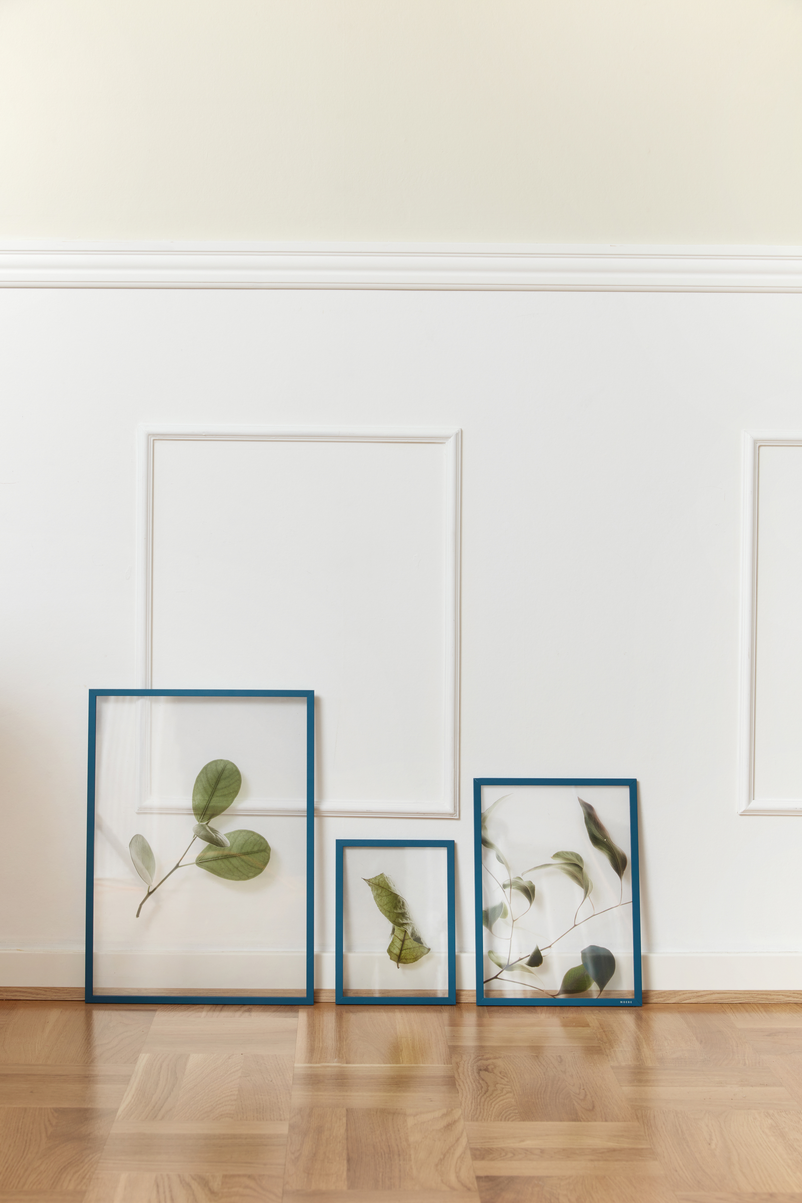 Terrace Floating Picture Frames