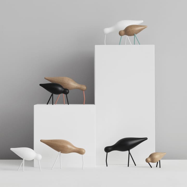 Shorebird preta , grande Normann Copenhagen