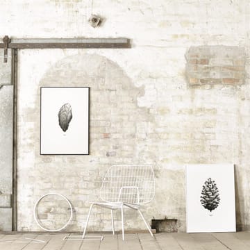 Póster 1:1 Pine cone - branco, 50x70 c - Paper Collective