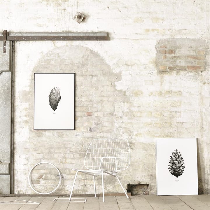 Póster 1:1 Pine cone, branco, 50x70 c Paper Collective