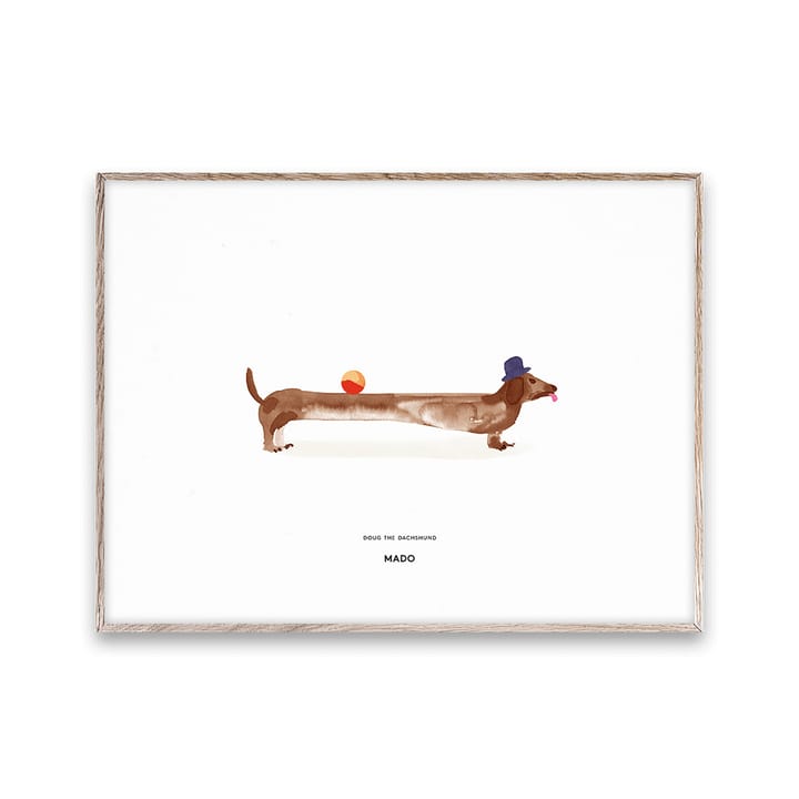 Póster Doug the Dachshund - 30x40 cm - Paper Collective