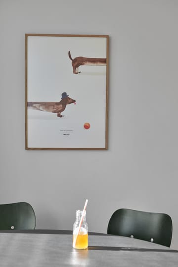 Póster Doug the Dachshund - 50x70 cm - Paper Collective