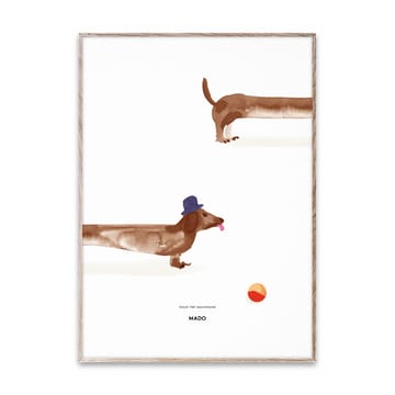 Póster Doug the Dachshund - 50x70 cm - Paper Collective