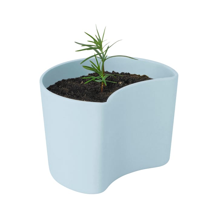 Vaso com sementes YOUR TREE - Blue (Pinho) - RIG-TIG