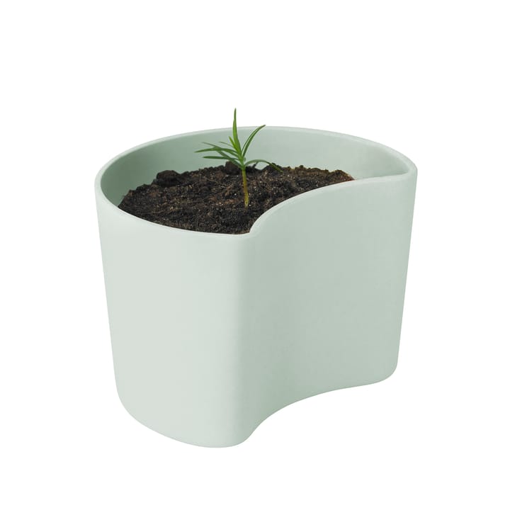 Vaso com sementes YOUR TREE - Green (Pinho) - RIG-TIG