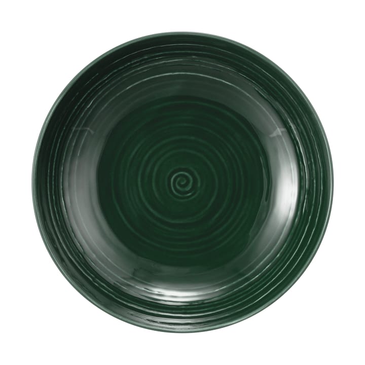 Prato fundo Terra Ø21,2 cm 6-unidades  - Verde musgo  - Seltmann Weiden