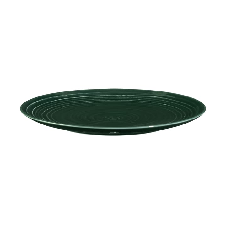 Prato Terra Ø22,7 cm 6-unidades  - Verde musgo  - Seltmann Weiden