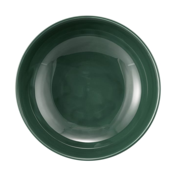 Tigela Terra Ø17,7 cm 2-unidades - Verde musgo  - Seltmann Weiden