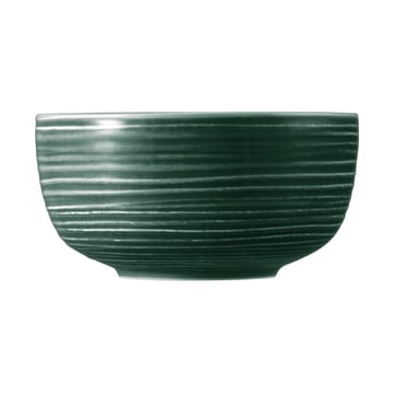 Tigela Terra Ø17,7 cm 2-unidades - Verde musgo  - Seltmann Weiden