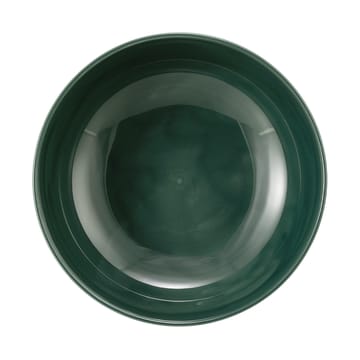 Tigela Terra Ø20,4 cm 2-unidades - Verde musgo  - Seltmann Weiden