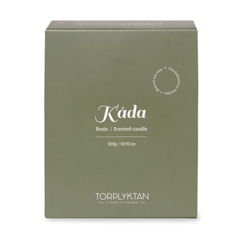 Northern woods vela perfumada 310 g - Resin - Torplyktan