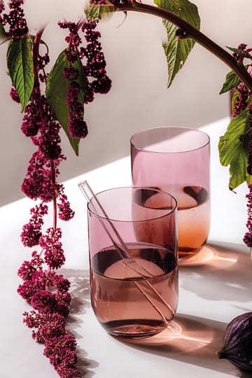 Like copo long drink 38.5 cl 2 un. - Grape - Villeroy & Boch