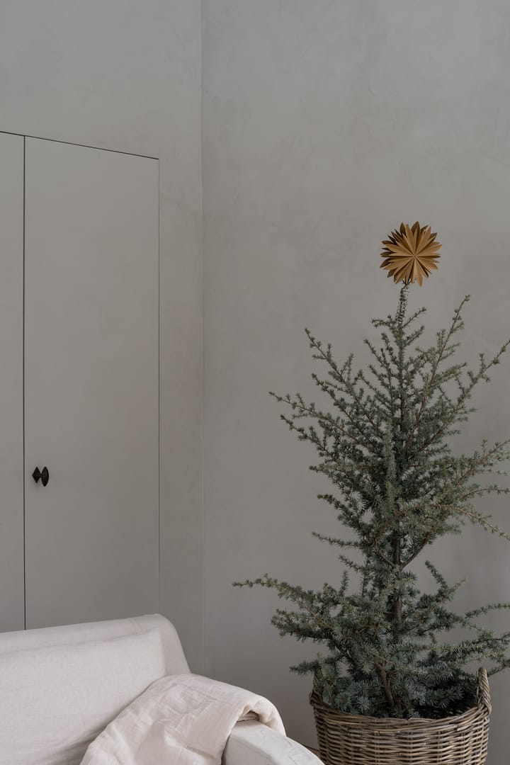 Estrela para árvore de Natal Nova Ø20 cm - Dourado - Watt & Veke